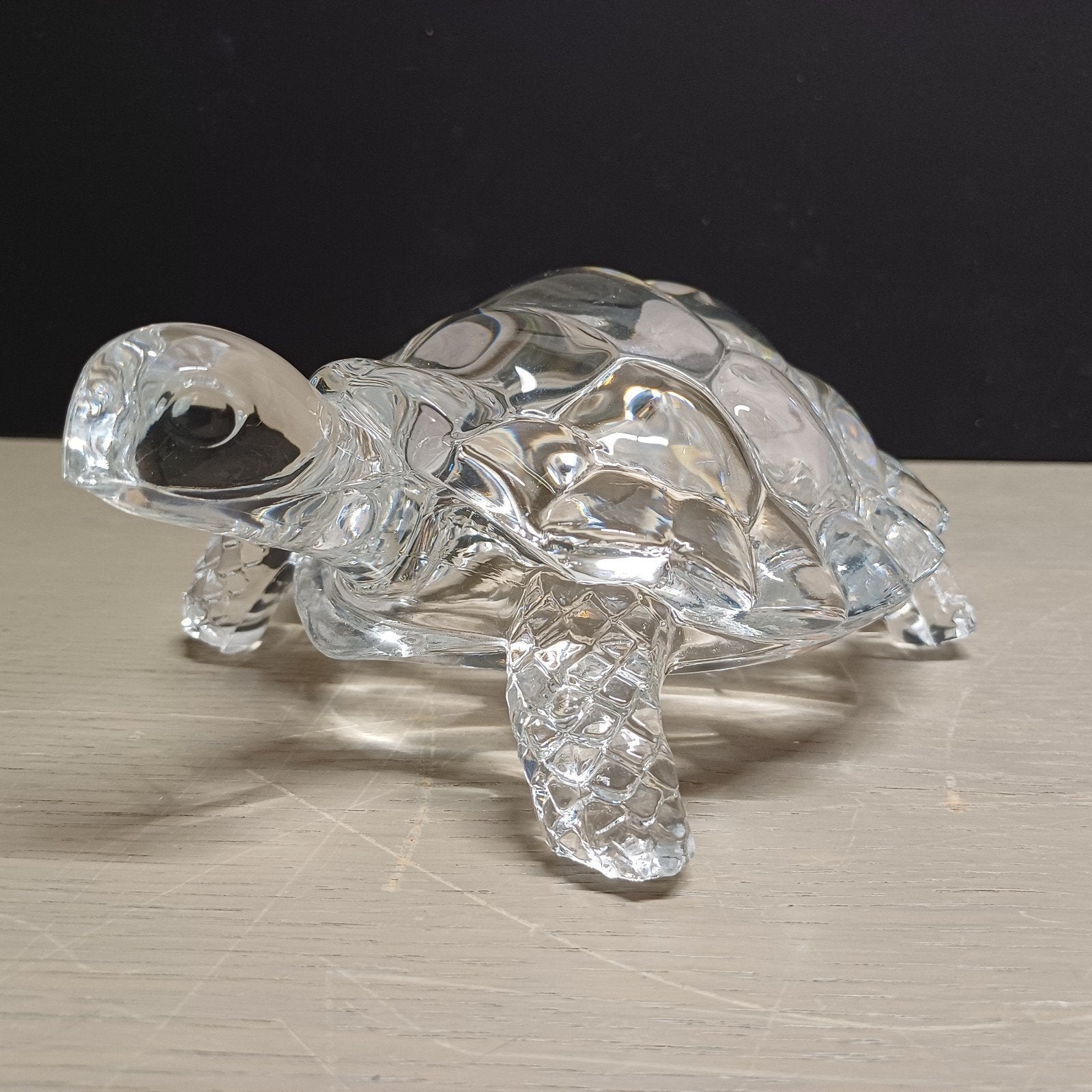 GLASKUNST SCHILDPAD, Ophalen of Verzenden, Zo goed als nieuw, Glas