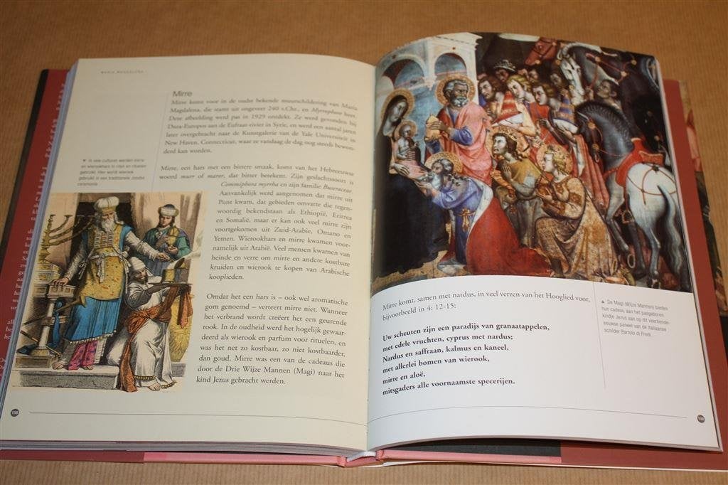 Maria Magdalena. Geschiedenis en Geheimen., Ophalen of Verzenden, Zo goed als nieuw, Europa