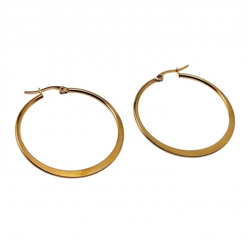 Ø40mm Oorbellen Dames Platte-Design Verguld Stalen Oorringen, Overige materialen, Hangers, Birgitta-Gracht 33, 6465 EL Kerkrade, Nederland