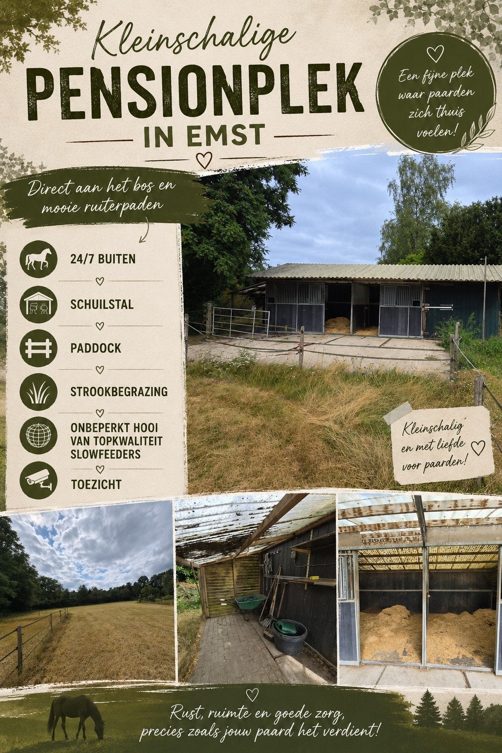 weide/stalling, direct aan het bos in Emst, Weidegang, 2 of 3 paarden of pony's