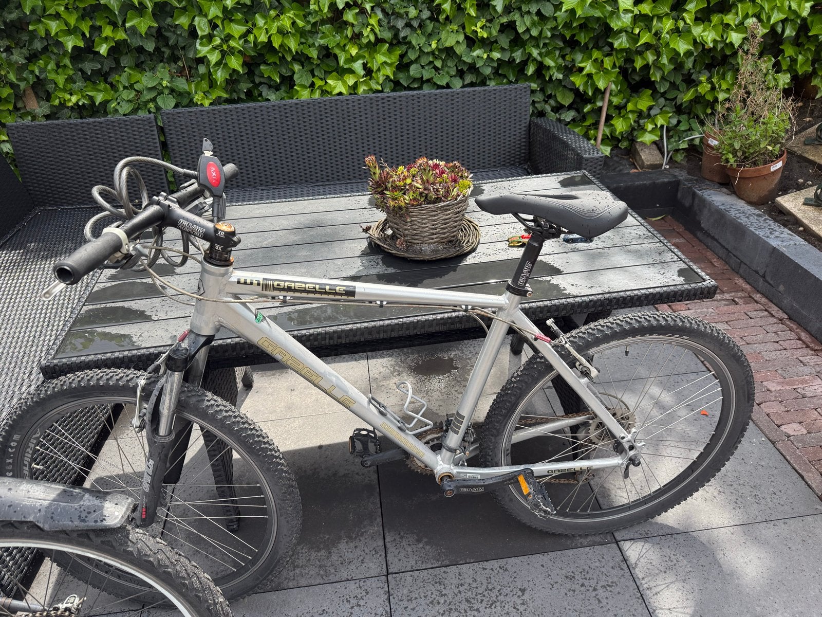 Gazelle W1 MTB - Mountainbike, Fietsen en Brommers, Fietsen | Mountainbikes en ATB, Ophalen, Gebruikt, Hardtail, Velgrem