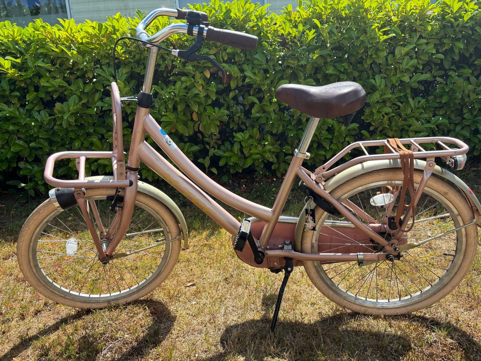 Roze meisjesfiets met voordrager en hand- en terugtraprem, Ophalen, Gebruikt, 22 inch