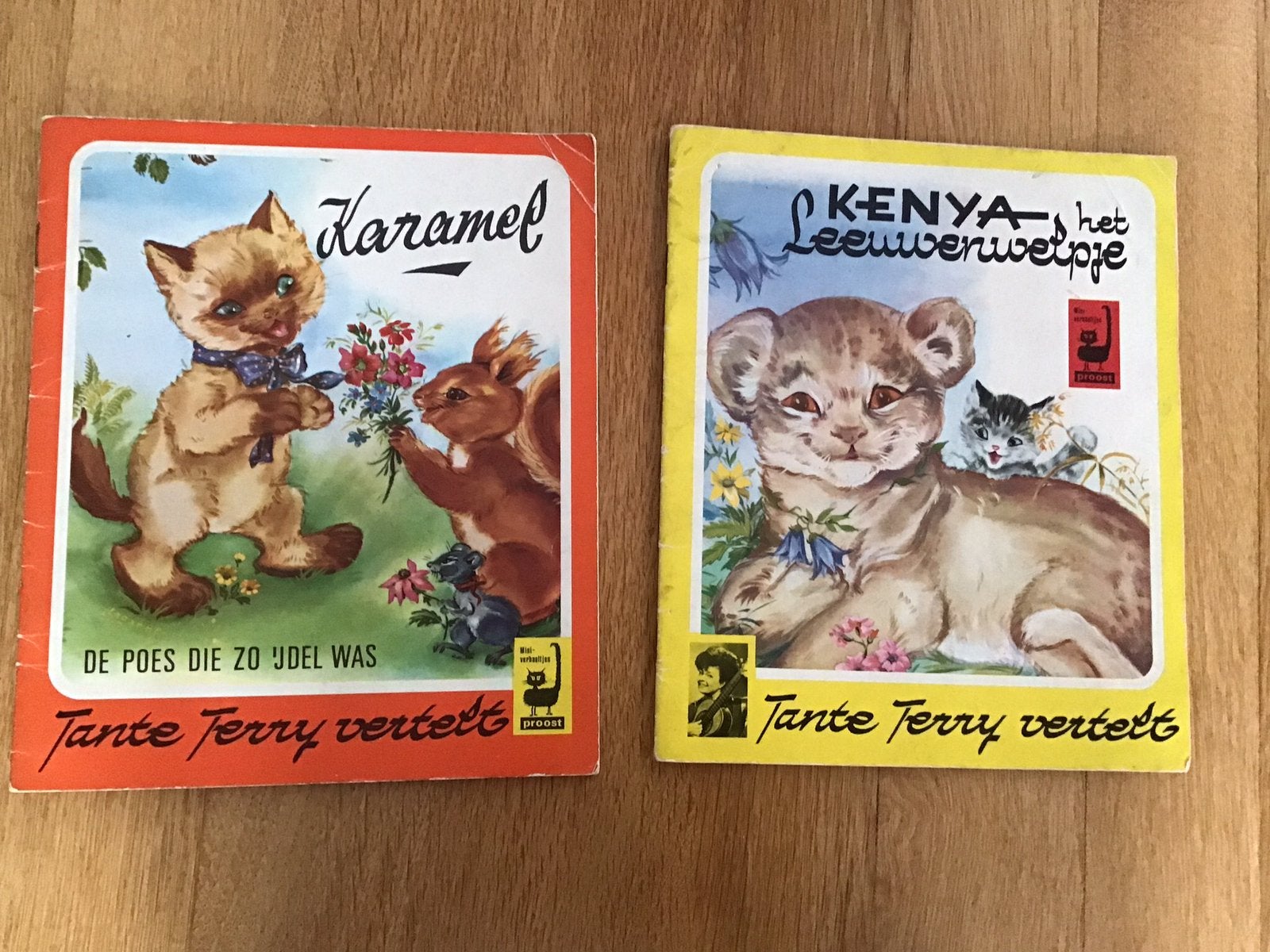Vintage kinderboekjes Tante Terry verteld 2 stuks, Ophalen of Verzenden, Gelezen, Prentenboek