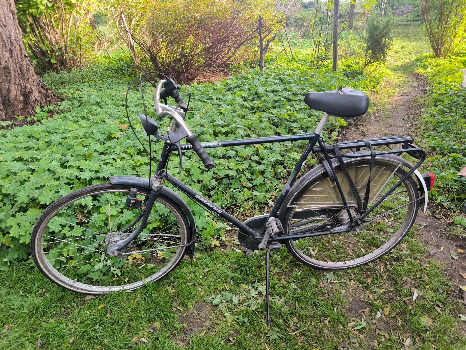 Batavus Florence Herenfiets - Nette staat, onderhoud nodig, Ophalen, Gebruikt, Batavus, Versnellingen
