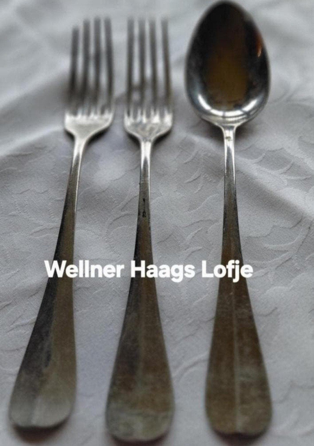 Verzilverd bestek Wellner Haags Lofje gladde handgrepen, Ophalen of Verzenden