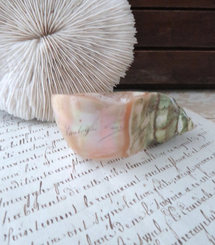 Antieke servetring schelp “Boulogne sur Mer”, Antiek en Kunst, Ophalen of Verzenden