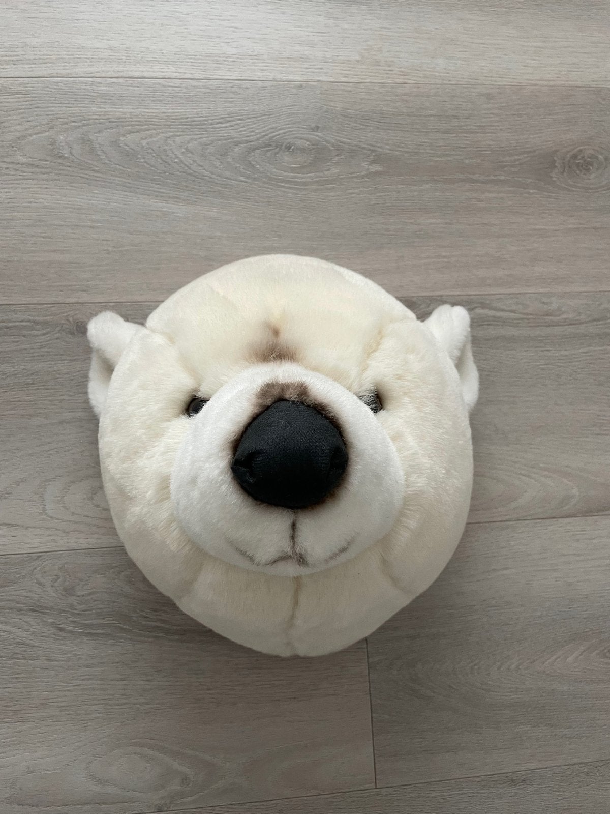 (IJs)Berenkop voor aan muur, Ophalen, Zo goed als nieuw, Wanddecoratie