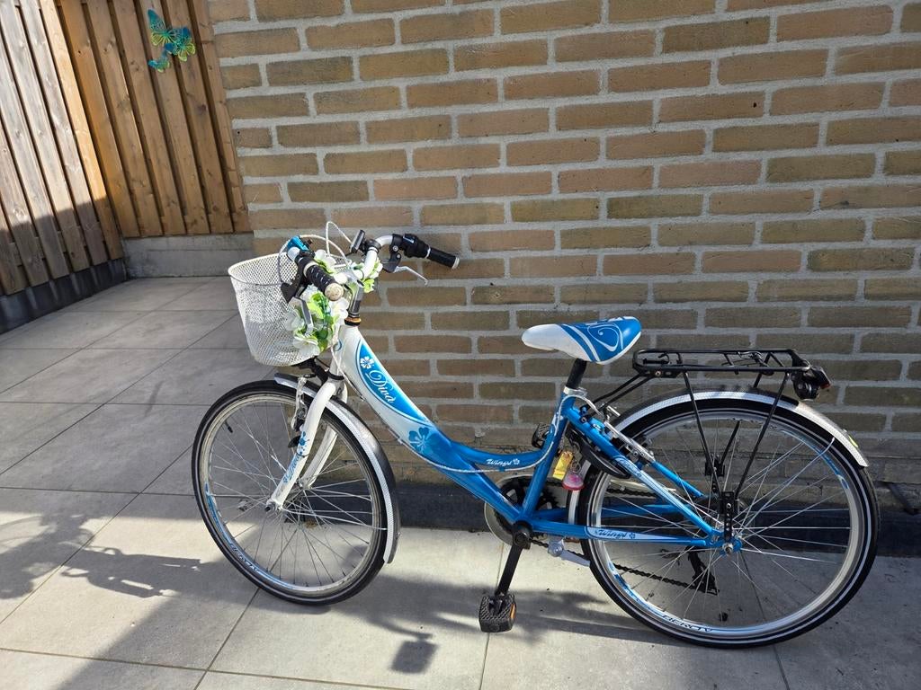 Meisjesfiets 22inch, Fietsen en Brommers, Fietsen | Meisjes, Ophalen, Gebruikt, 22 inch