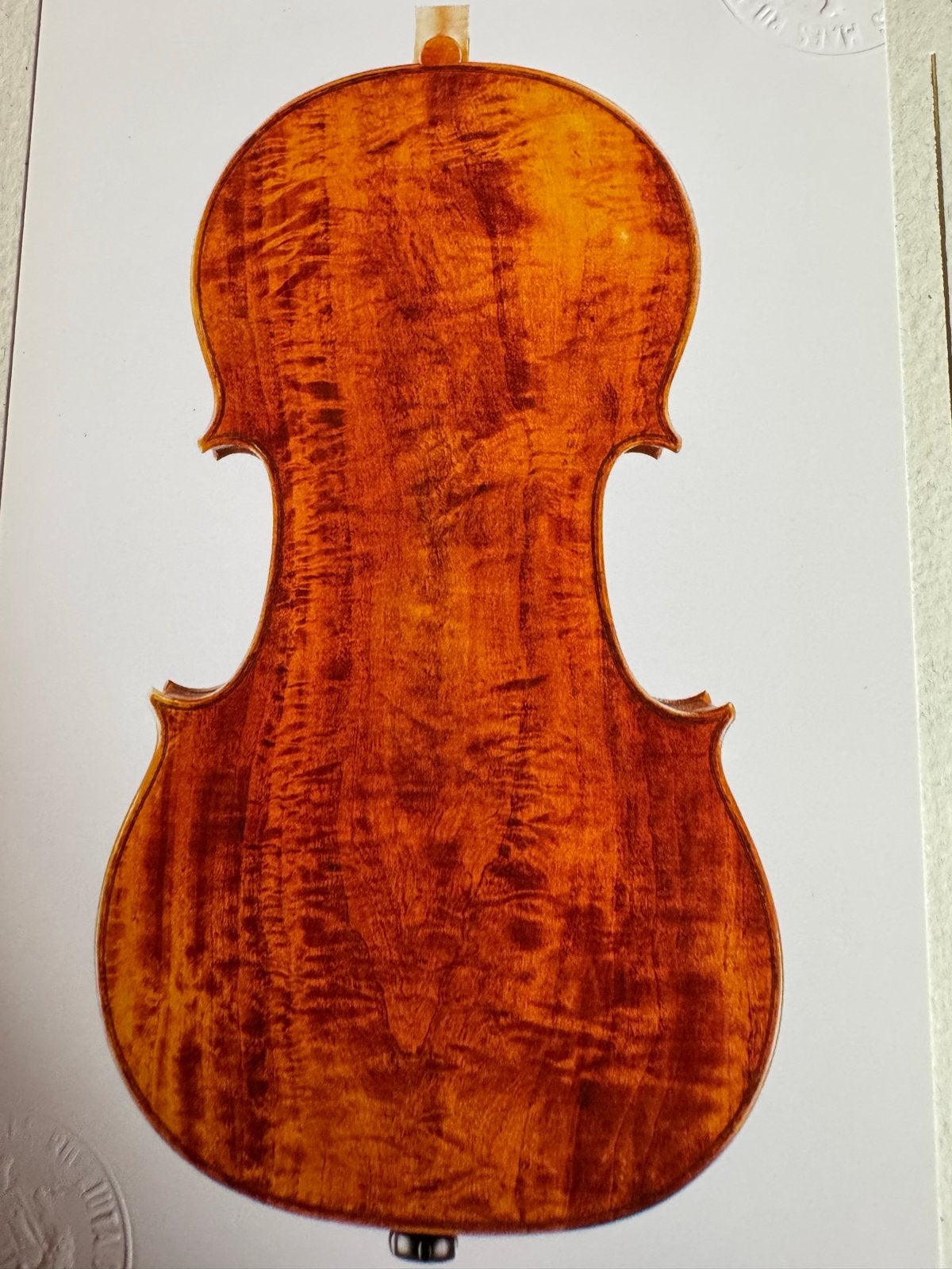 Paolo Traversi cello met uniek populier achterblad, Muziek en Instrumenten, Strijkinstrumenten | Cello's, Ophalen, Nieuw, 4/4-cello