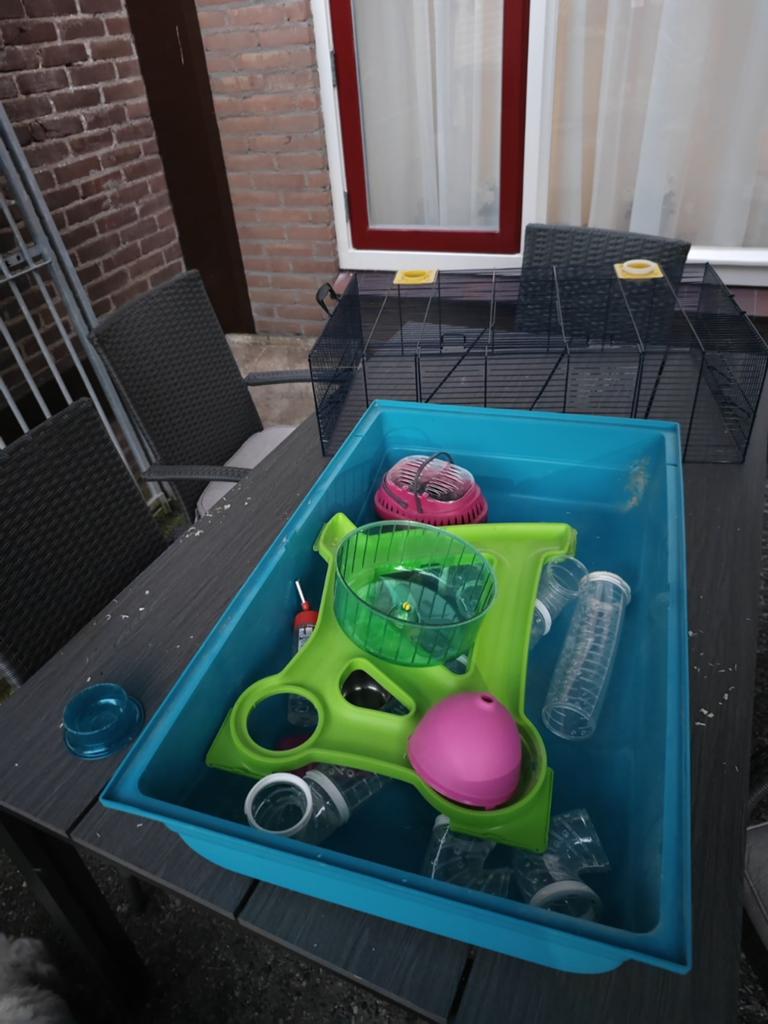 Kooi groot met veel attributen, Dieren en Toebehoren, Kooi, Minder dan 75 cm, Hamster, Ophalen