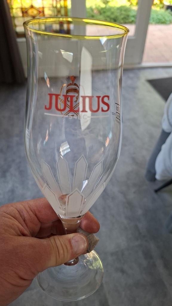 Julius bierglazen, Verzamelen, Ophalen of Verzenden, Zo goed als nieuw, Glas of Glazen, Overige merken