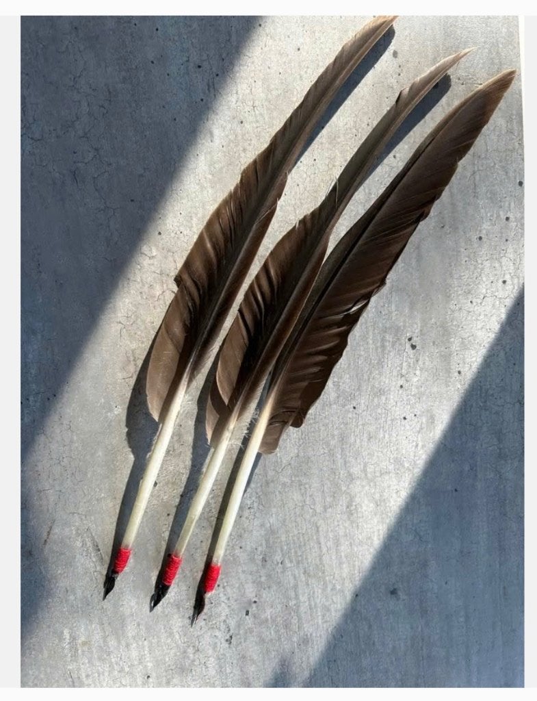 3 x echte veren pen met kroontjes pen 40 cm, prijs per stuk, Nieuw, Ophalen of Verzenden, X, X