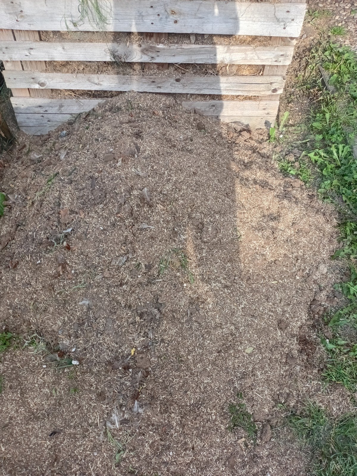 Kippen Meshed/Compost, Tuin en Terras, Ophalen, Mest