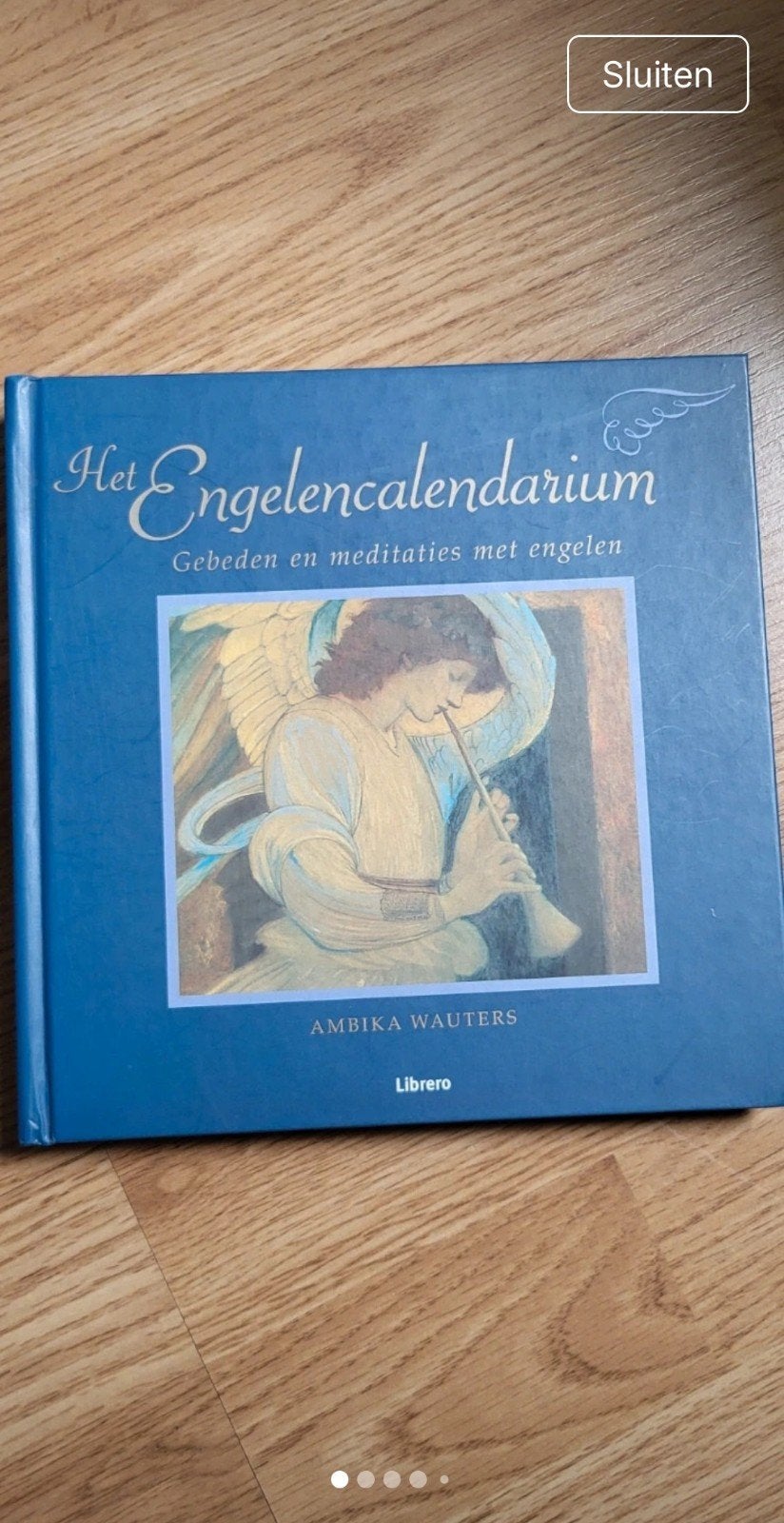 Ambika Wauters - Het Engelencalendarium, Boeken, Ophalen of Verzenden, Zo goed als nieuw, Ambika Wauters, Overige typen