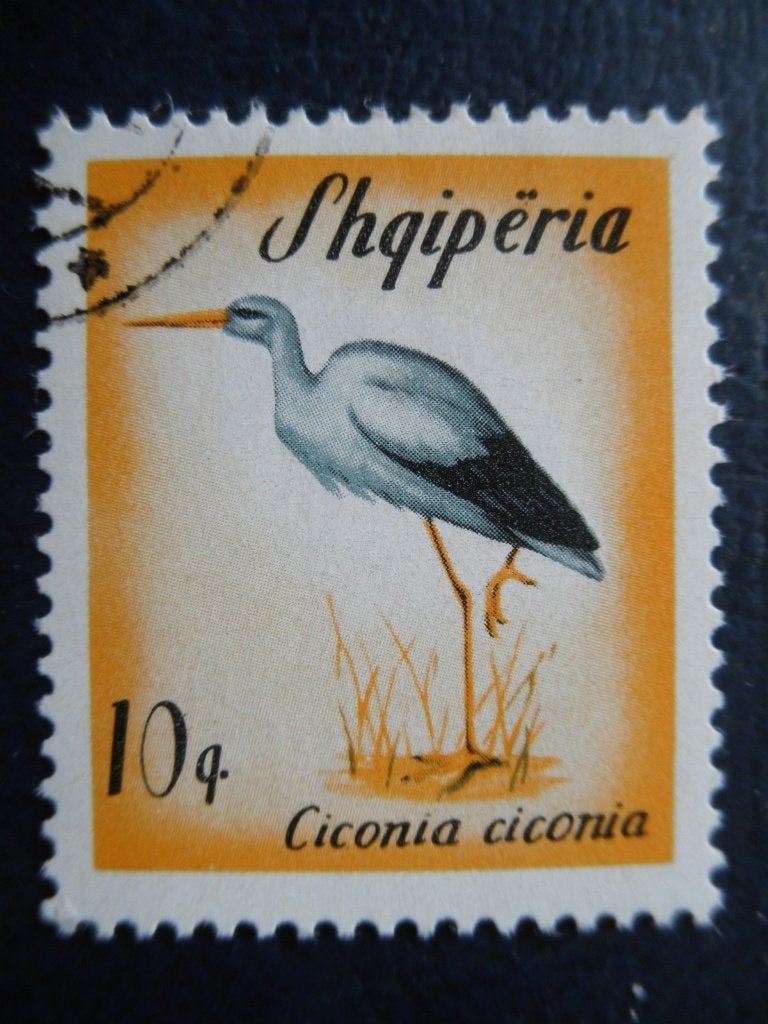 Postzegels Albanië 1965 nr. 973 vogels - cat.w € 0,50., Ophalen of Verzenden, Overige landen, Gestempeld