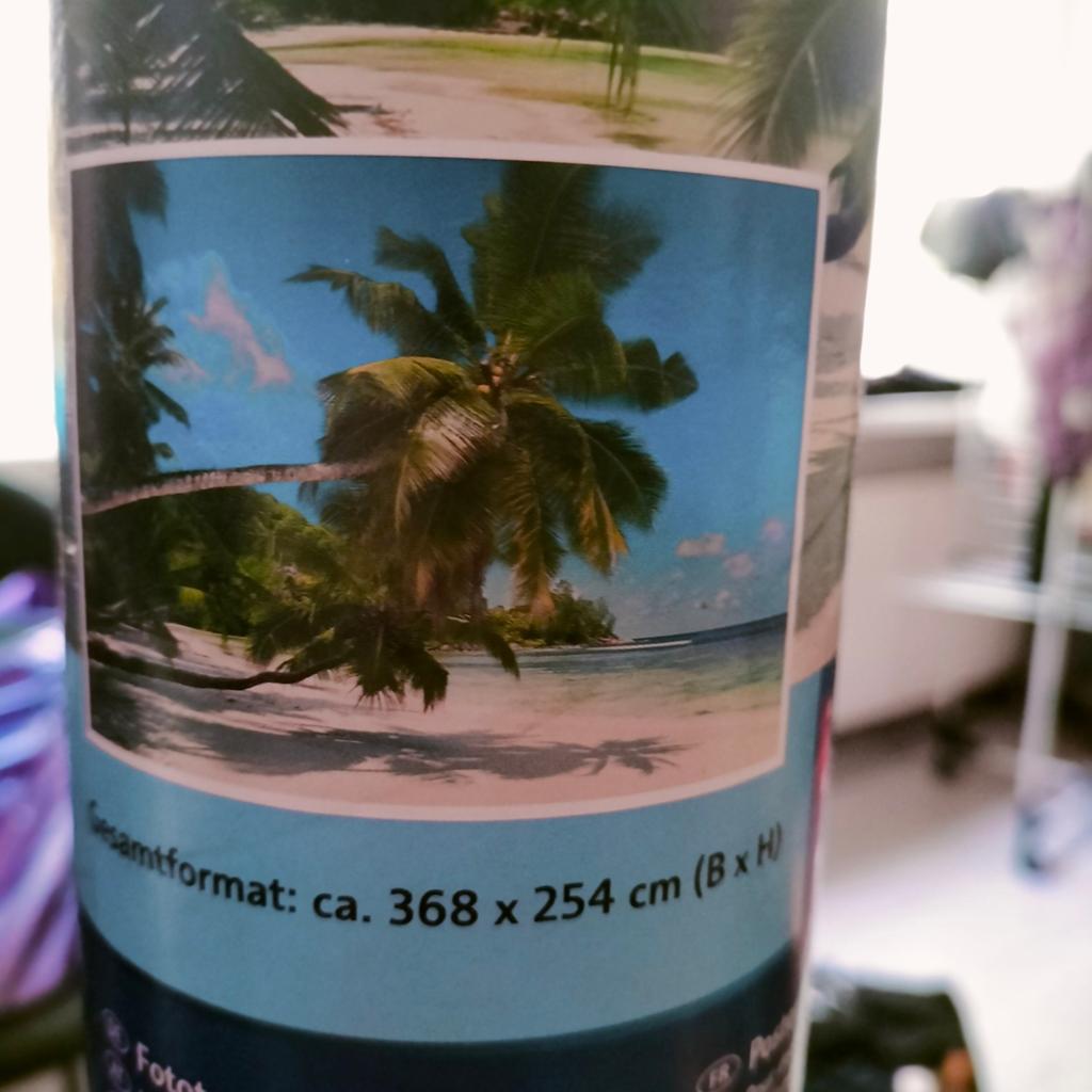 Fotobehang Palmbomen, Ophalen, Minder dan 10 m²