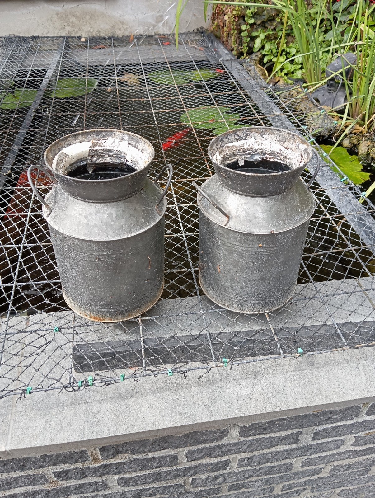mini melkbussen, Ophalen of Verzenden