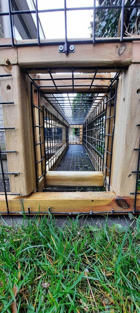 Kattenren Schoonhoven | Maatwerk | Duurzame materialen, Ophalen of Verzenden, Nieuw