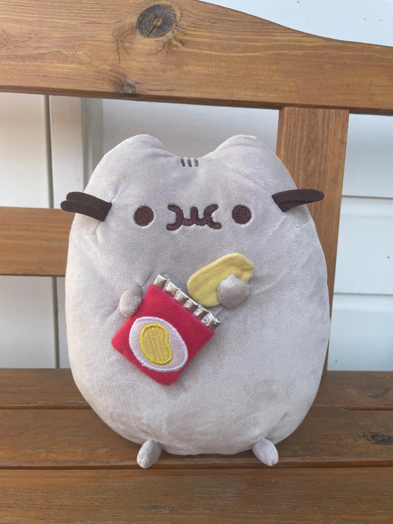 Pusheen snackable chips knuffel | 25 cm, Ophalen of Verzenden, Zo goed als nieuw, Overige typen