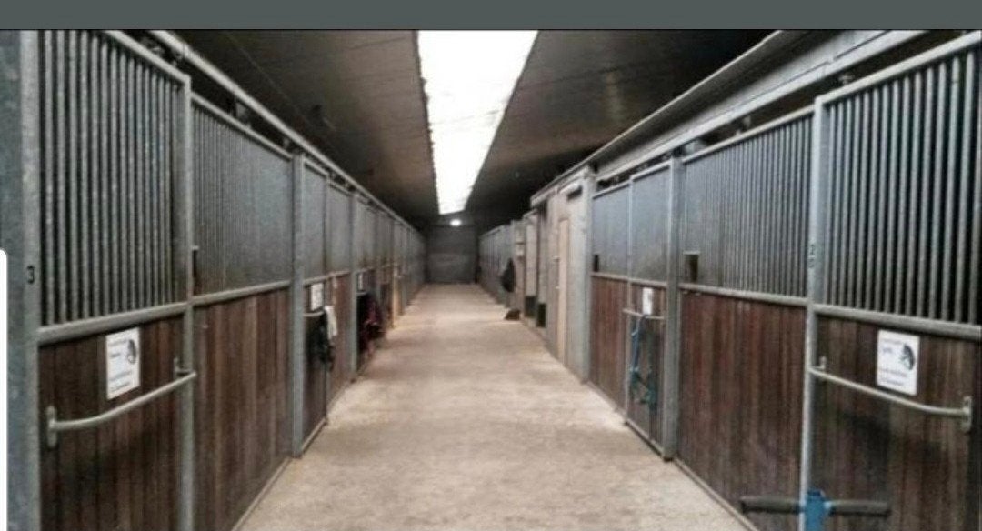 stalling vrij volpension, Weidegang, 4 paarden of pony's of meer