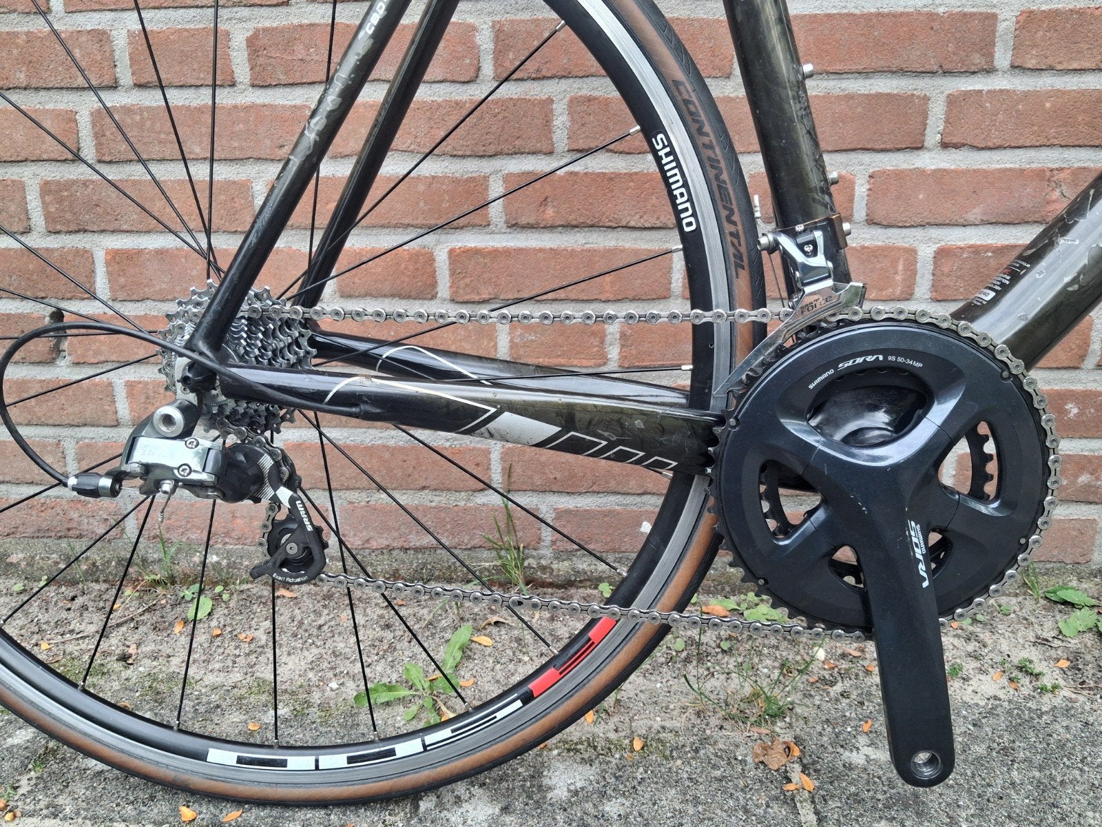 Foto 7 van Red Bull (Rose) Carbon-SL 4400