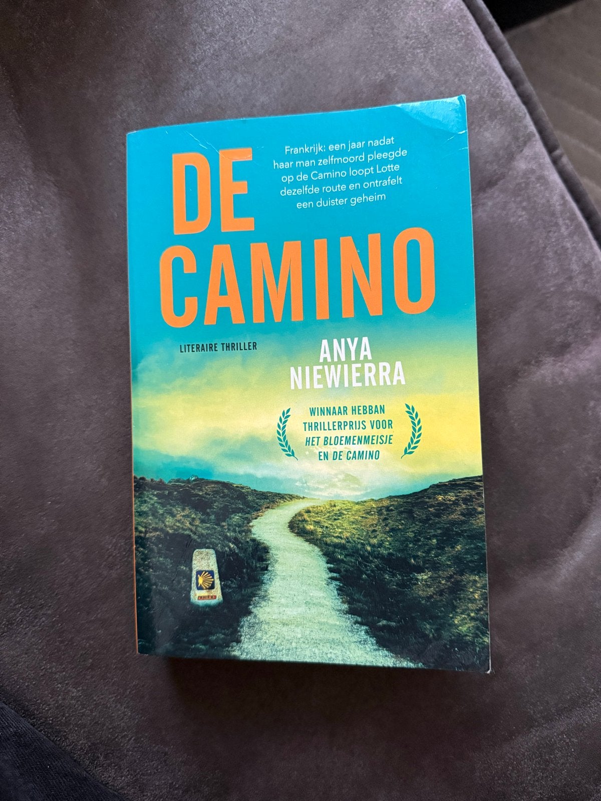 De Camino - Anya Niewierra (Literaire Thriller), Boeken, Ophalen of Verzenden, Zo goed als nieuw