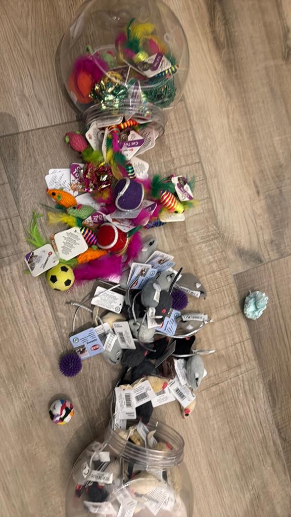Los kattenspeelgoed nieuw, Dieren en Toebehoren, Katten-accessoires, Ophalen of Verzenden, Nieuw