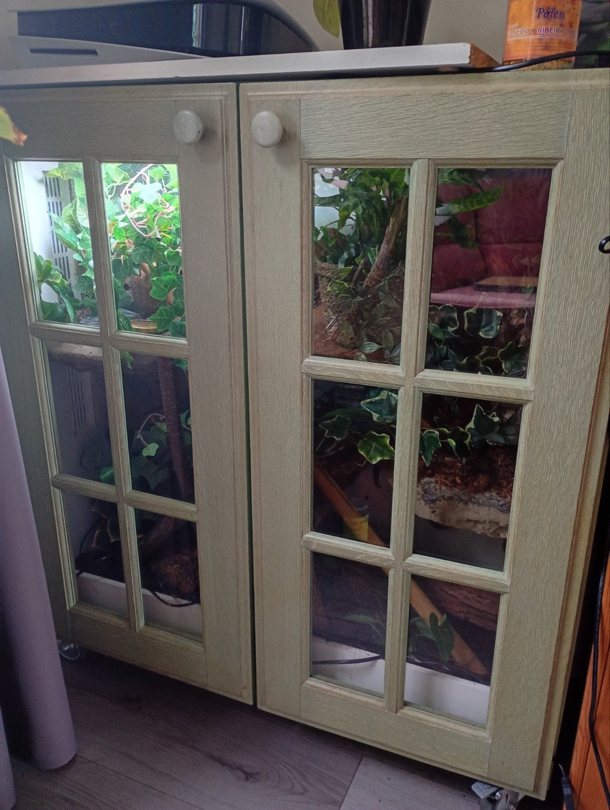 Mooi kast terrarium met lieve wimpergekko, Met terrarium, 3 tot 6 jaar