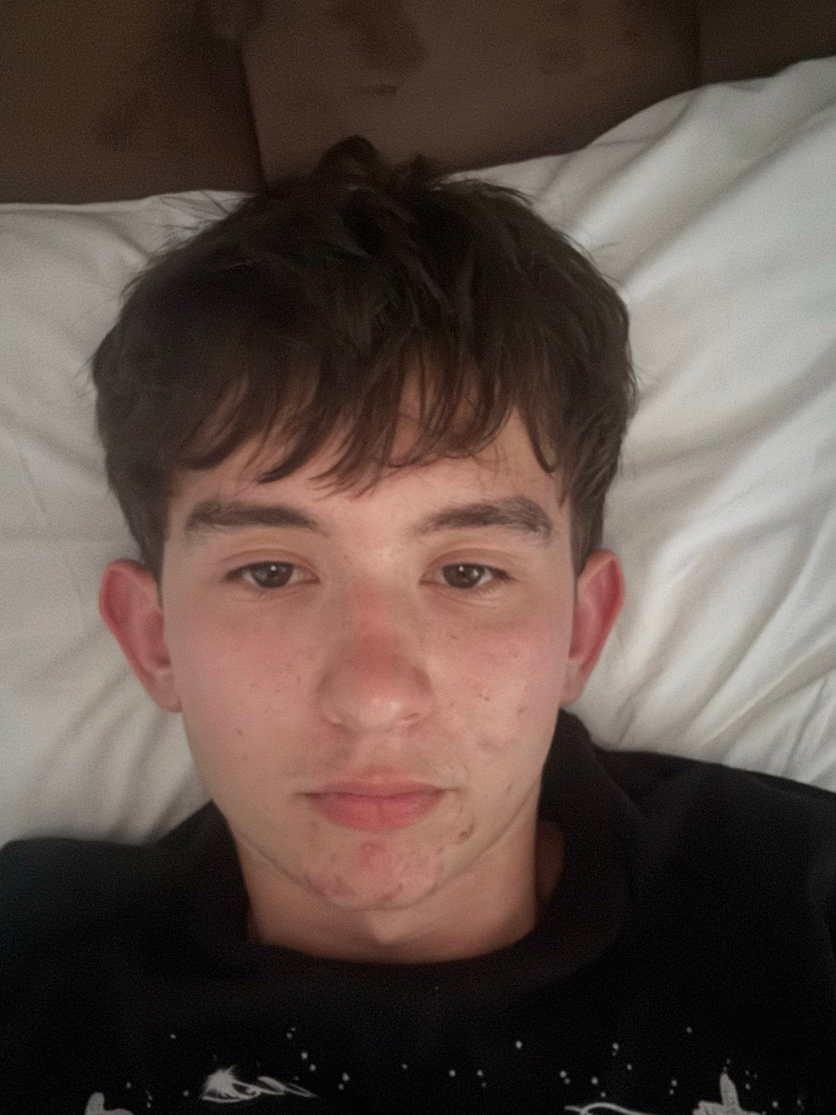 Looking for a room near Amsterdam / Zaandam, Amsterdam