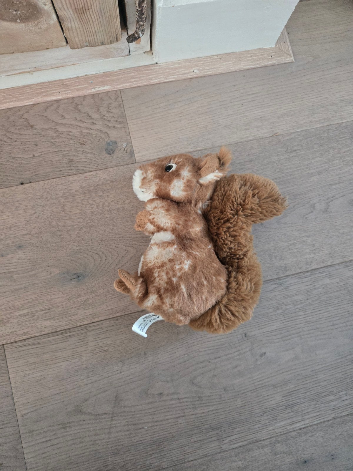 Schattige pluche eekhoorn knuffel, Overige merken, Overige karakters, Overige typen, Ophalen of Verzenden