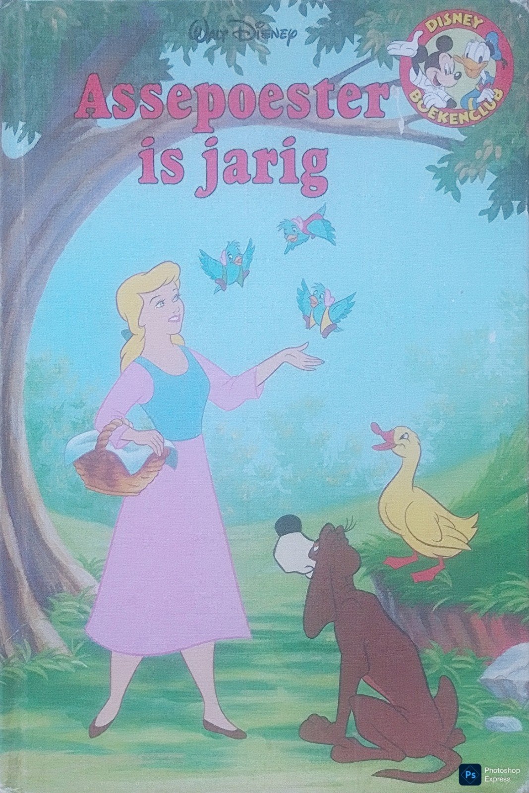 Assepoester Is Jarig, Gelezen, Fictie algemeen, Ophalen of Verzenden, Walt Disney.