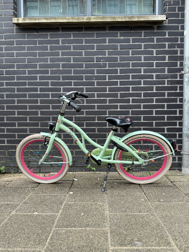 Alpina Kinderfiets Mintgroen met Roze Details - 20 inch, Terugtraprem, Gebruikt, Onbekend, Ophalen of Verzenden