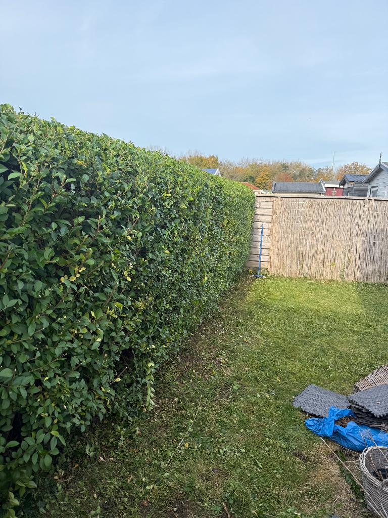 Tuinman voor onderhoud tuin omgeving Hellevoet Spijk eiland, Diensten en Vakmensen, Tuinmannen en Stratenmakers, Tuinonderhoud of Snoeiwerk