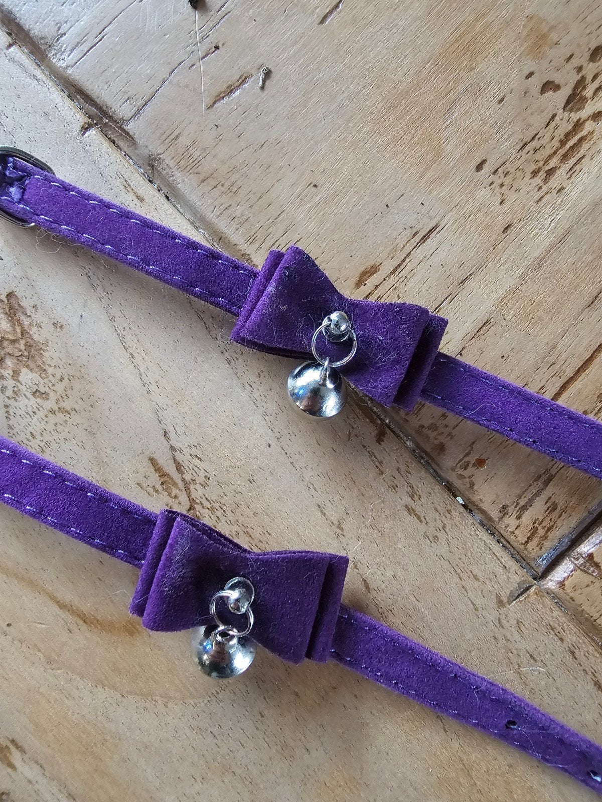 Nieuw: Halsbandjes kat paars met belletje, Dieren en Toebehoren, Ophalen, Nieuw
