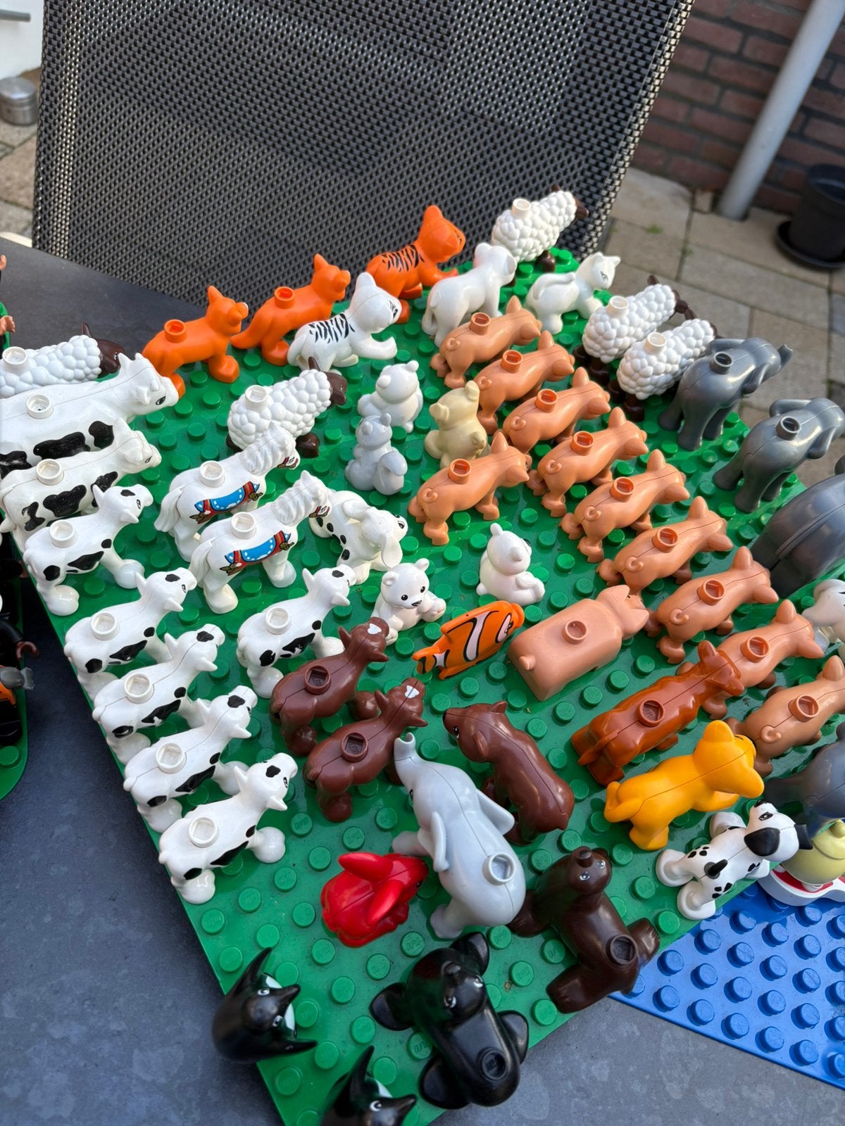 Duplo dieren, Ophalen, Zo goed als nieuw