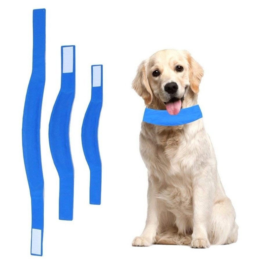 koeling kraag voor de warme dagen € 5,00 op=op !, Dieren en Toebehoren, Honden-accessoires, Ophalen of Verzenden, Nieuw