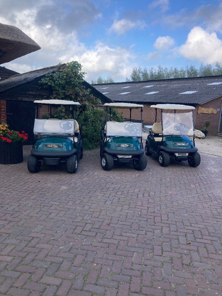 Golfkarren, Dieren en Toebehoren, Meerdere dieren, 0 tot 2 jaar