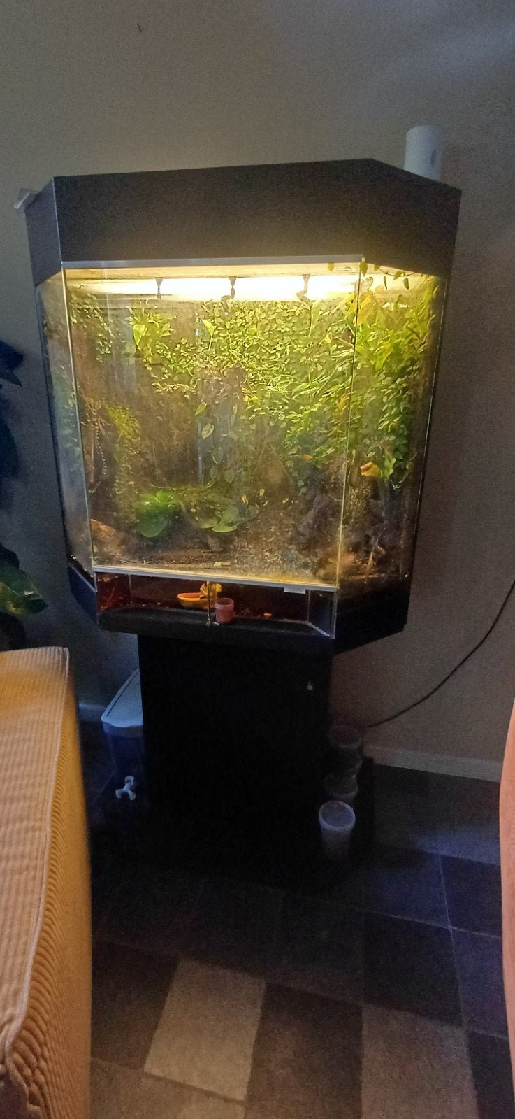 paludarium van dutch rana, Ophalen, Gebruikt, Terrarium of Paludarium