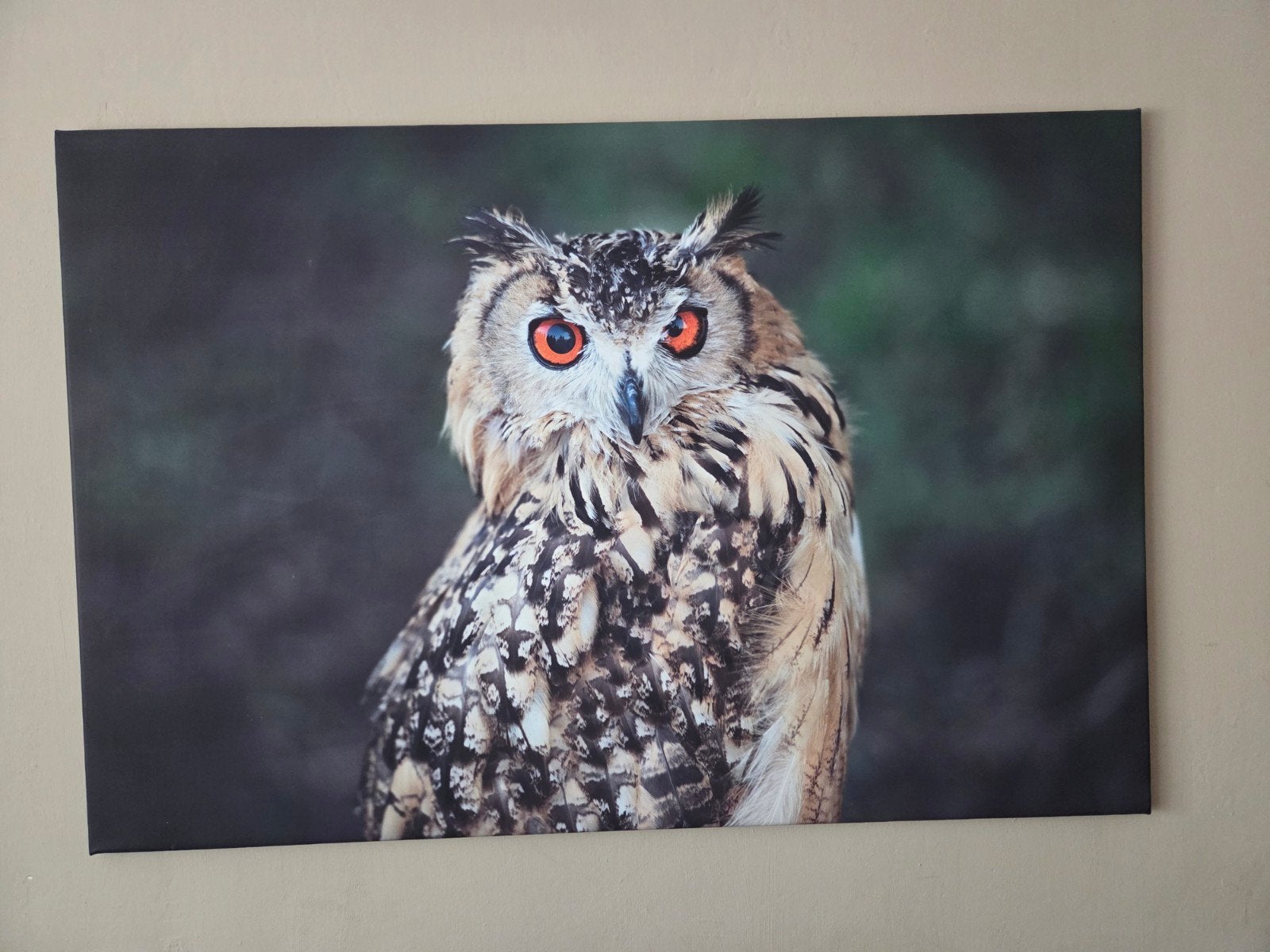 Canvas schilderij van een uil, 120x80cm, Huis en Inrichting, Woonaccessoires | Schilderijen, Tekeningen en Foto's, Ophalen, Zo goed als nieuw