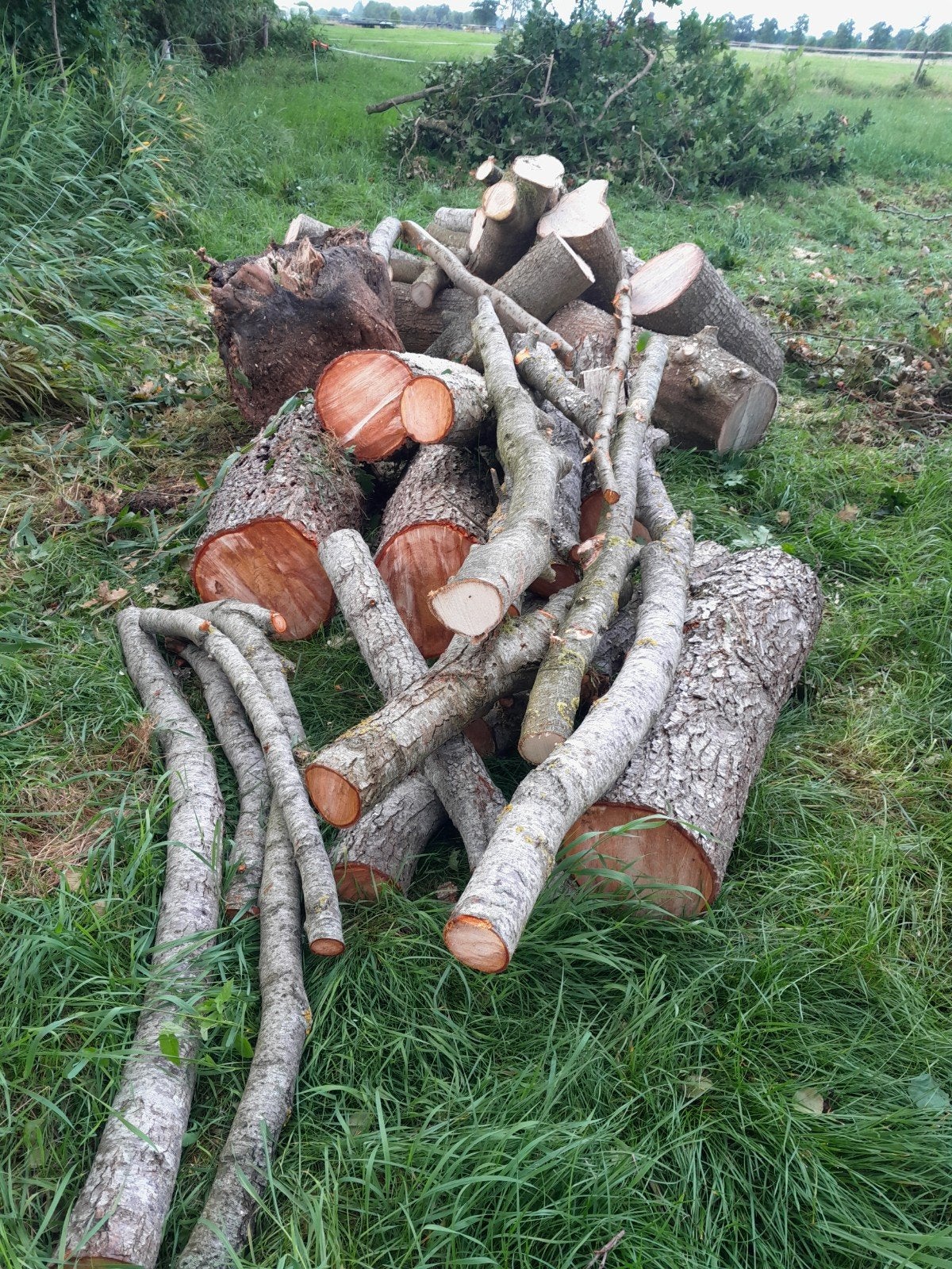 Haardhout, Tuin en Terras, Minder dan 3 m³, Ophalen