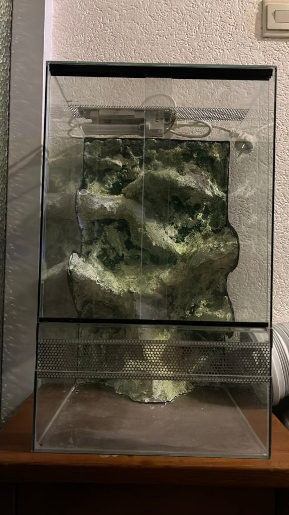 Terrarium Aquarium, Ophalen, Nieuw, Terrarium of Paludarium