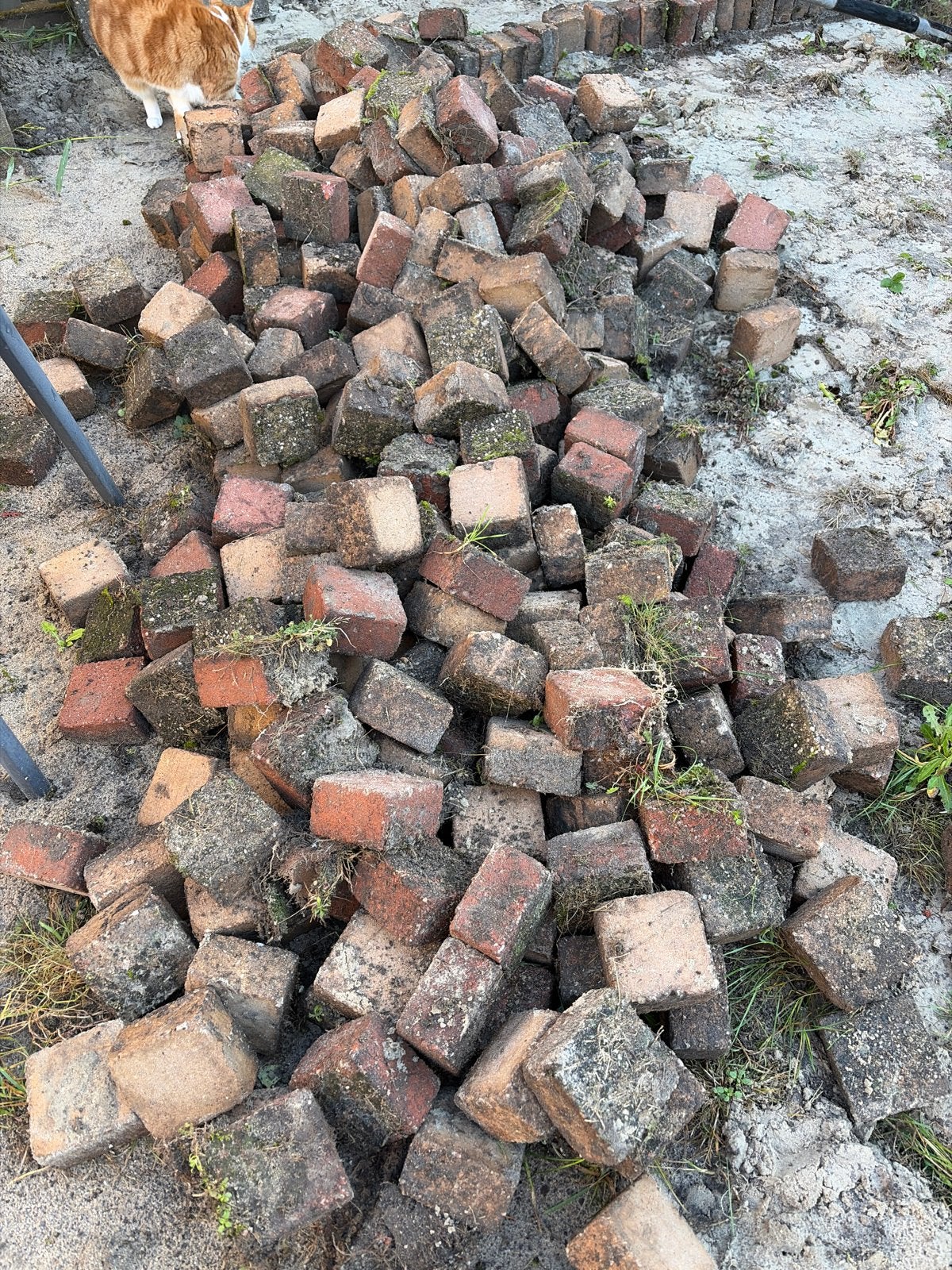 Gratis tuintegels 10x10 cm, ca. 8m², rood/beige, Ophalen, Gebruikt, 5 tot 10 m², Klinkers