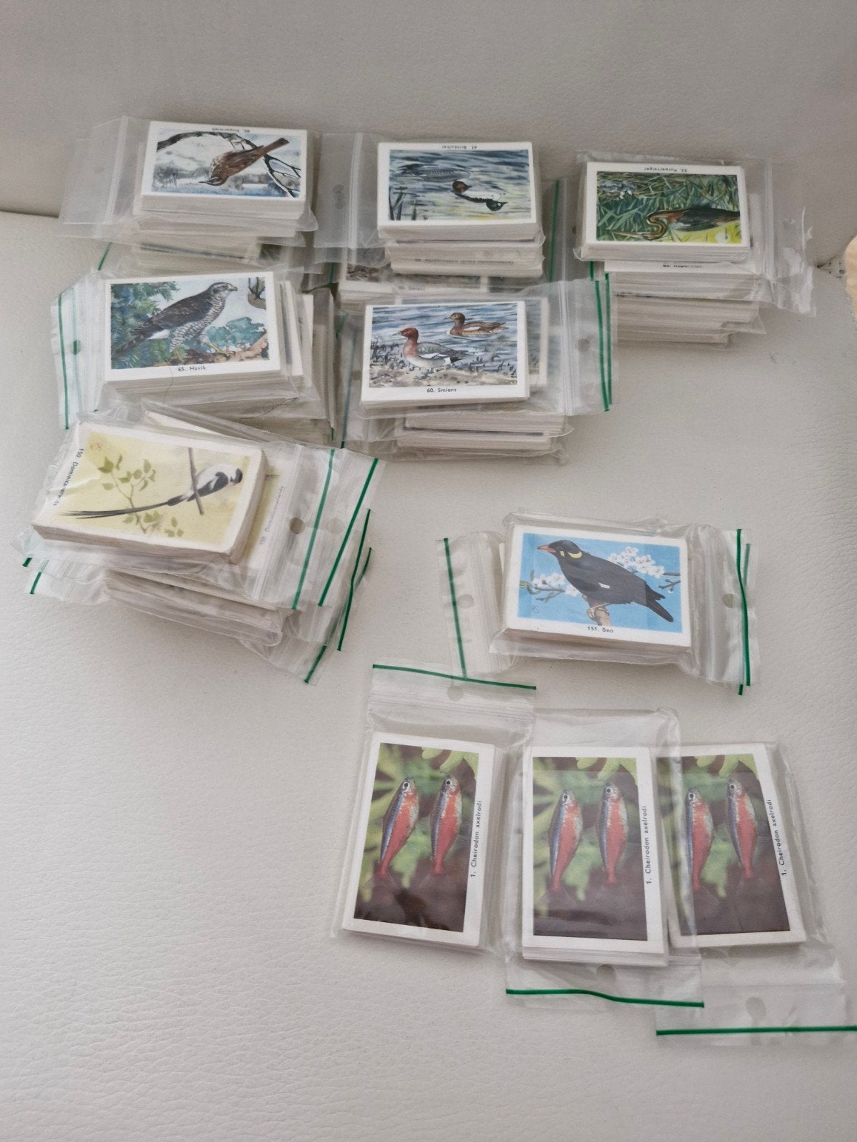 Rizla vogelplaatjes zo leer je vogels kennen en Vissen, Ophalen of Verzenden, Meerdere plaatjes
