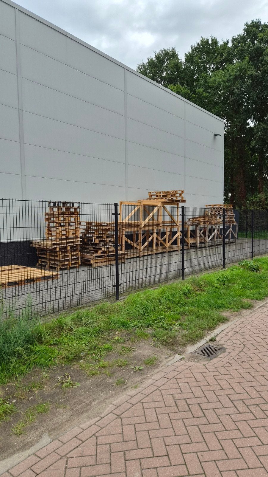 Diverse gebruikte houten pallets en boxen, Ophalen, Gebruikt, 300 cm of meer, Overige houtsoorten