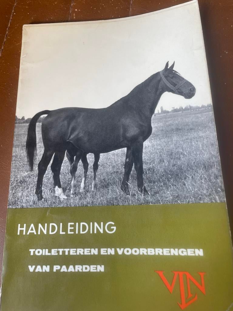Oud lesboekje: Toiletteren en Voorbrengen van Paarden (1965), Boeken, Ophalen of Verzenden, Gelezen