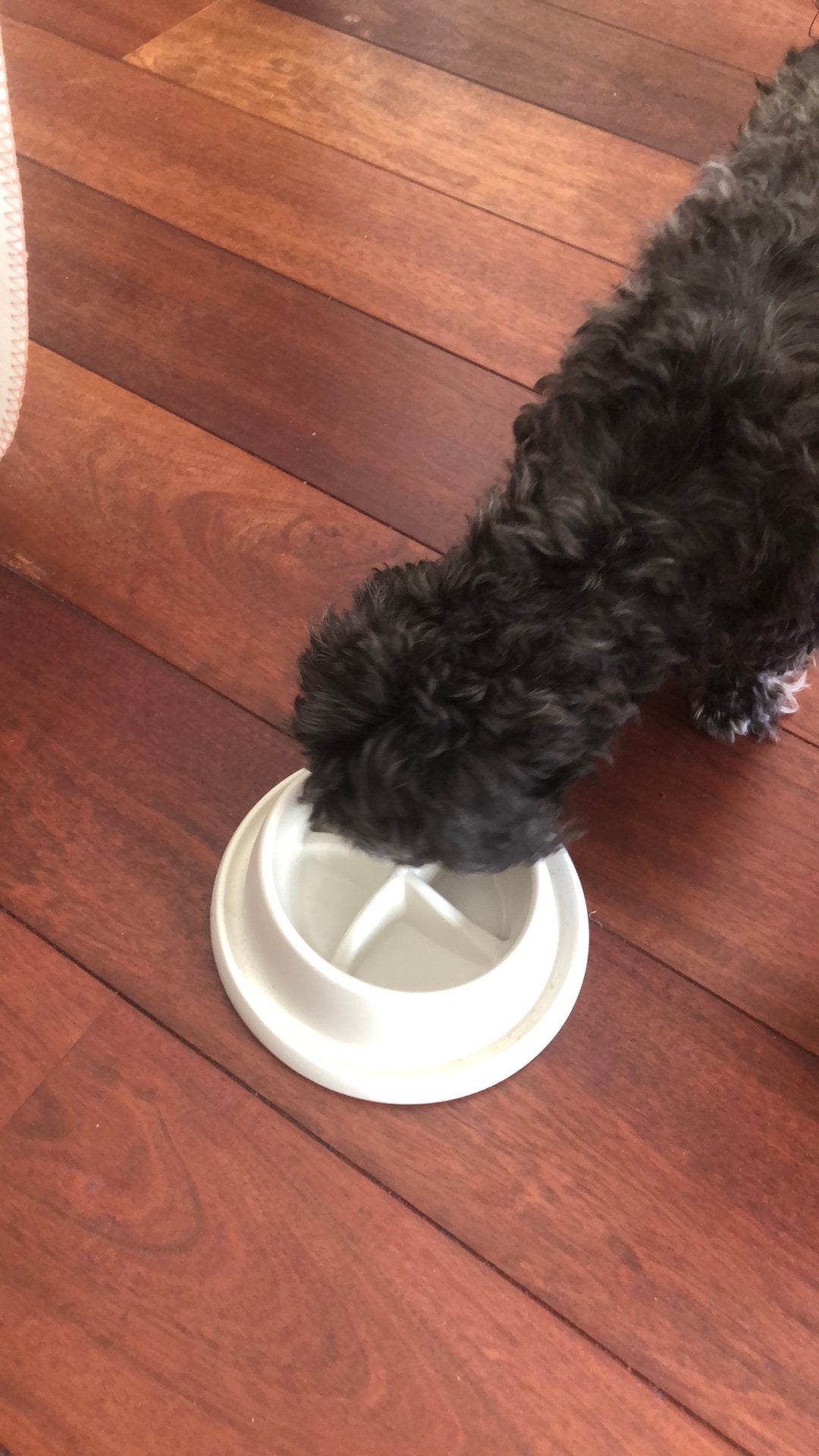 Honden bak om rustig te eten, Ophalen, Gebruikt