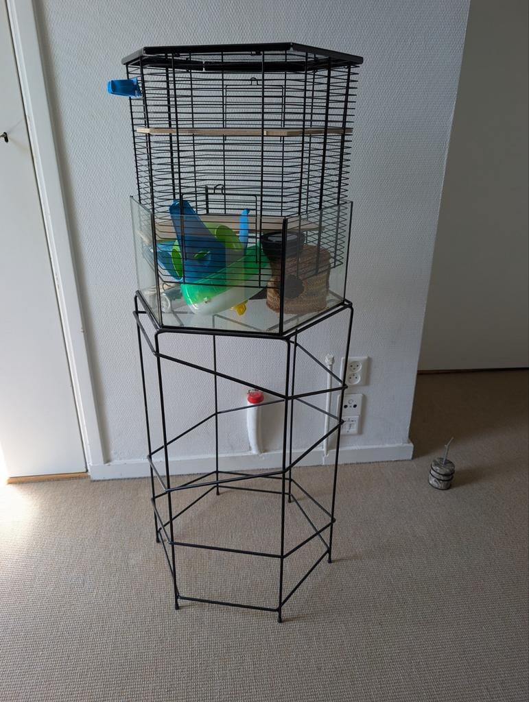 Hamsterkooi, Ophalen, Kooi, Gebruikt, Minder dan 75 cm