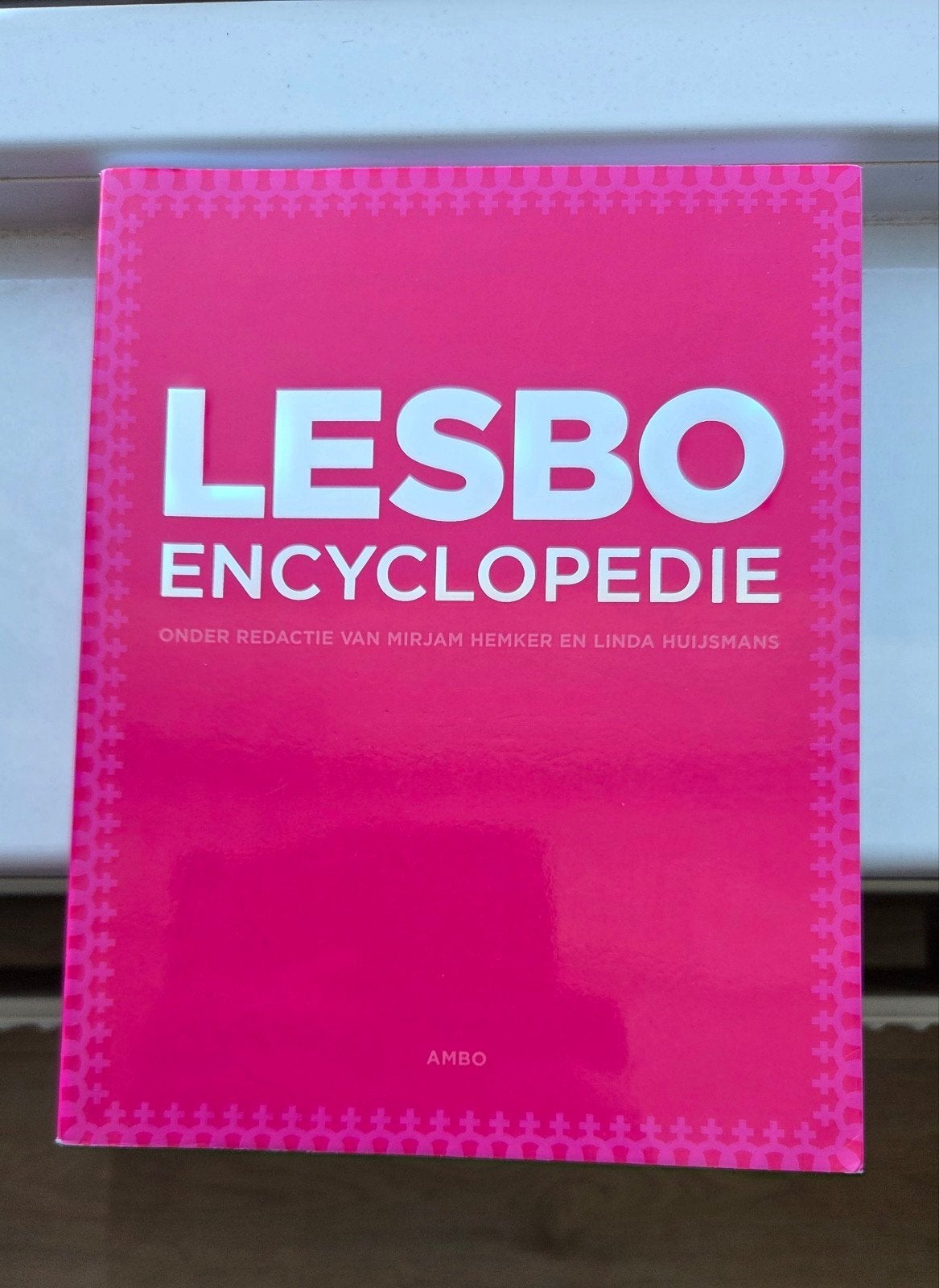 LESBO-ENCYCLOPEDIE: Naslagwerk over lesbisch leven, Ophalen of Verzenden, Zo goed als nieuw, Los deel