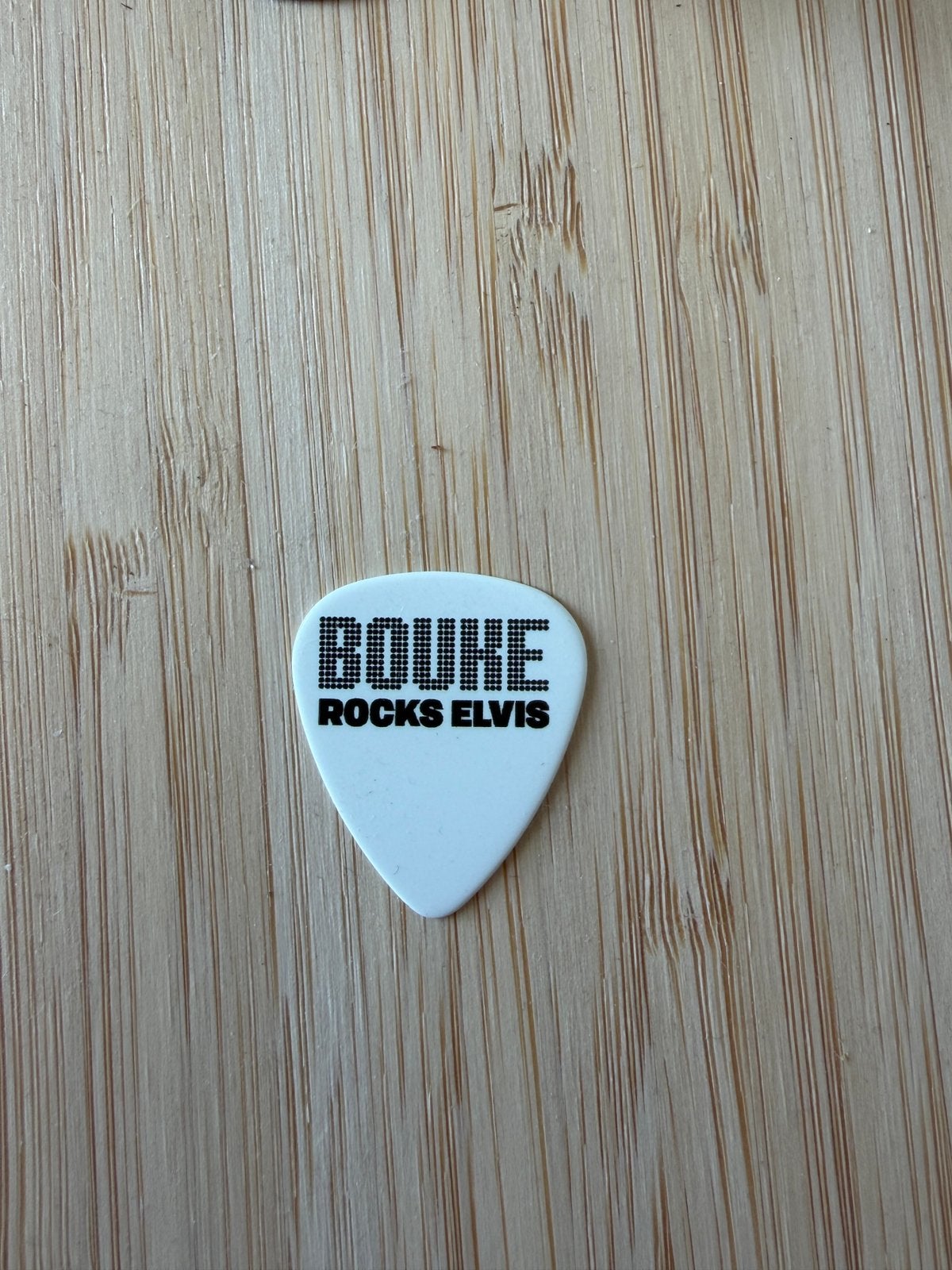 Plectrum van Bouke Scholten, Ophalen of Verzenden