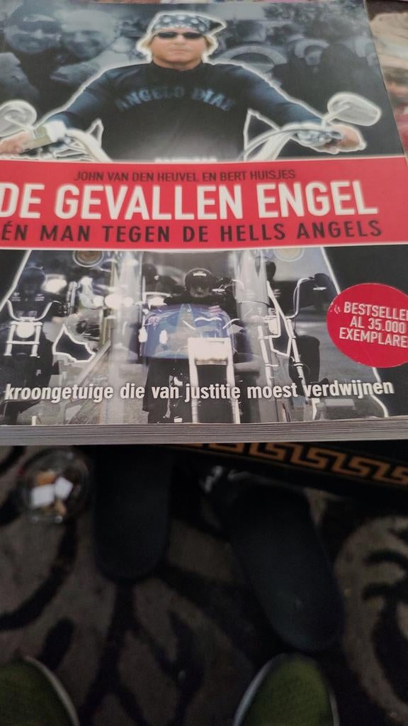 De gevallen engel een man tegen de Hells Angels Didam, Ophalen of Verzenden